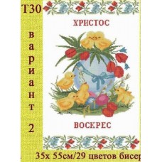 РП "РВ 61" РП "РВ 61"