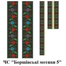 ЧС "Борщівськи мотиви 5"