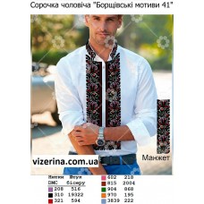 ЧС "Борщівські мотиви 41"