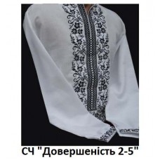 ЧС"Довершиність 2-5" ЧС"Довершиність 2-5"