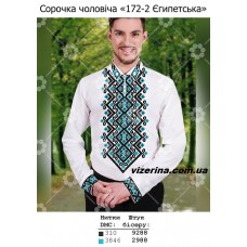 ЧС "172-2 Єгипетська" ЧС "172-2 Єгипетська"