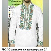 ЧС "Сокальська кольорова 1"