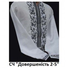 ЧС"Довершиність 2-5" ЧС"Довершиність 2-5"