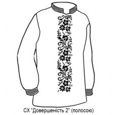 СХ "Довершеність 2" з полосою СХ "Довершеність 2" з полосою
