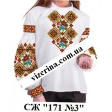 СЖ "171 №3"