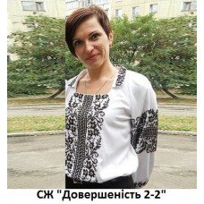 СЖ "Довершеність 2-2"