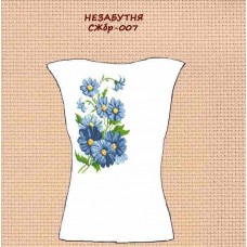 СЖбр-007 "Незабутня" СЖбр-007 "Незабутня"
