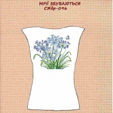 СЖбр-096 "Мрії збуваються"