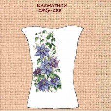 СЖбр-033 "Клементиси" СЖбр-033 "Клементиси"