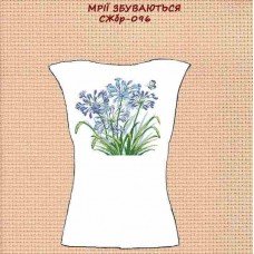 СЖбр-096 "Мрії збуваються" СЖбр-096 "Мрії збуваються"