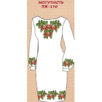 ПЖ-170 "Могутність"