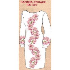 ПЖ-157 "Чарівна орхідея" ПЖ-157 "Чарівна орхідея"