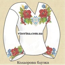 СЖ "Кольорова блузка"