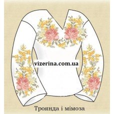 СЖ "Троянда і мімоза"